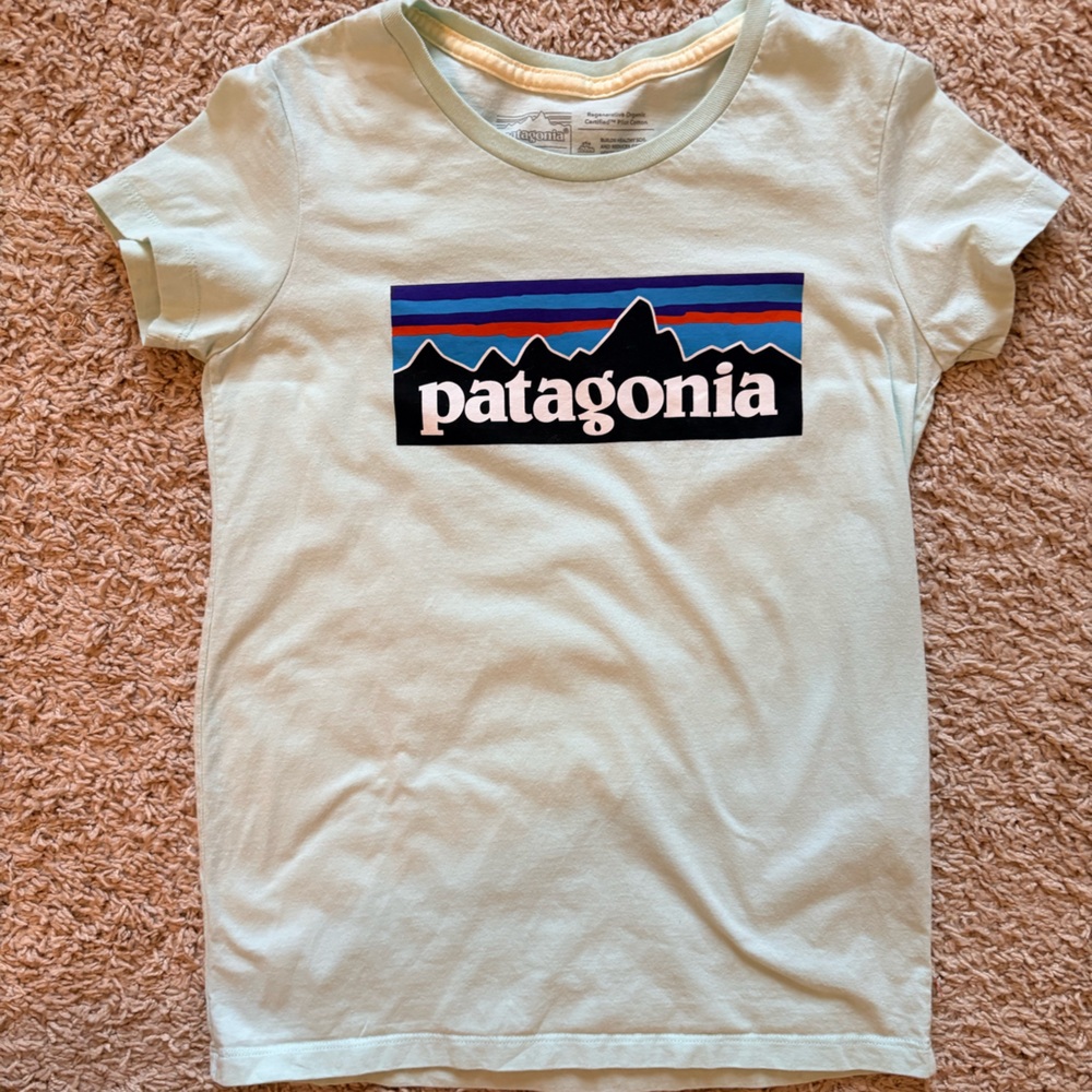 Patagonia Kids Youth XL 14 Graphic T Shirt Organic Cotton Light Green - Picture 9 of 11